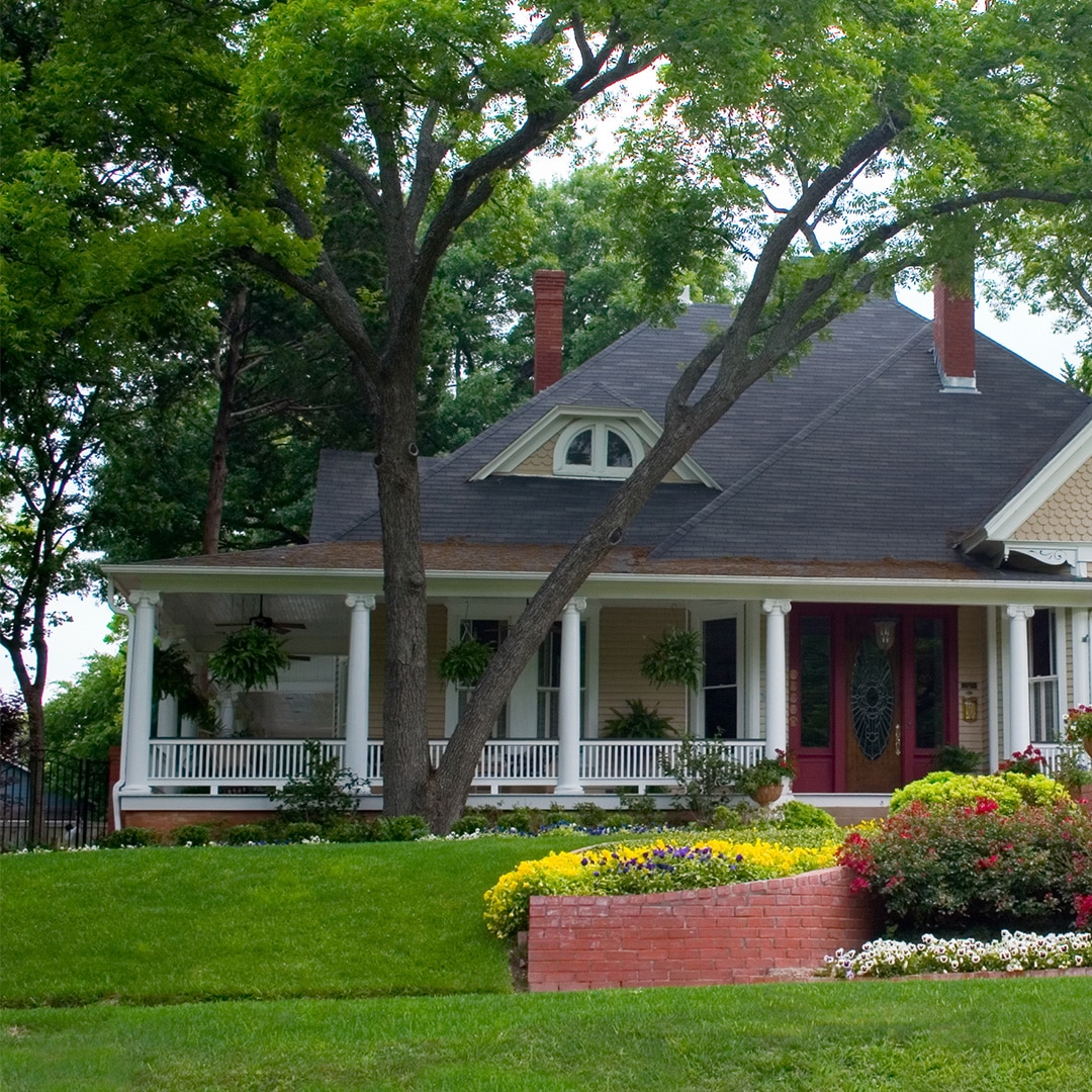 What To Do With A Tree Close To The House Elite Tree Care