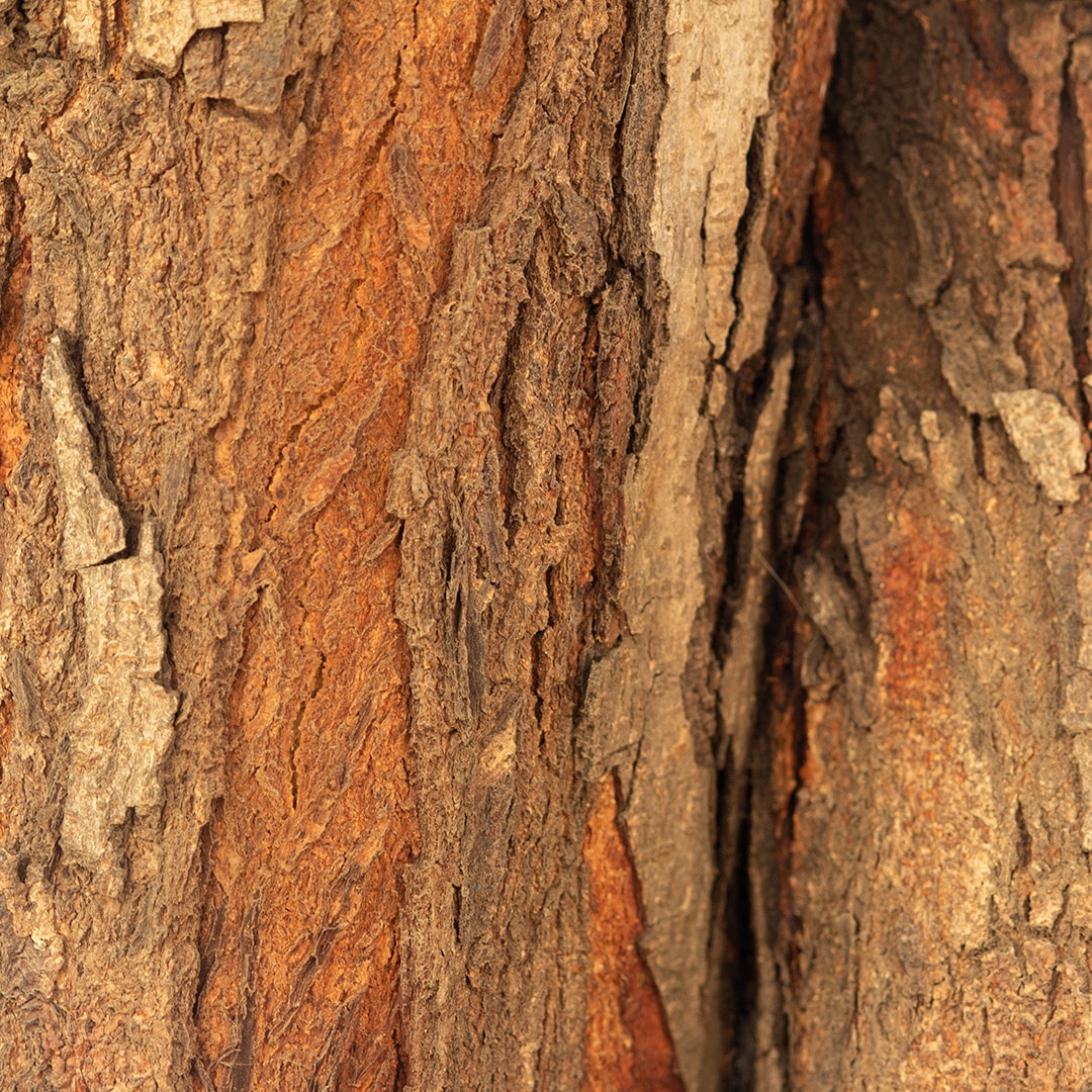 bark peeler